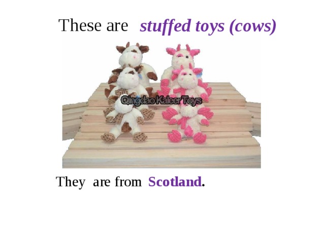 These are stuffed toys (cows) They are from Scotland . 
