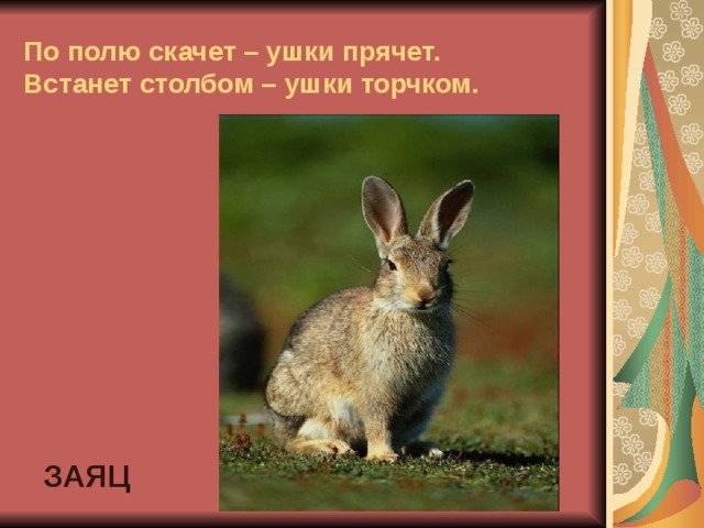 По полю скачет – ушки прячет.  Встанет столбом – ушки торчком. ЗАЯЦ 