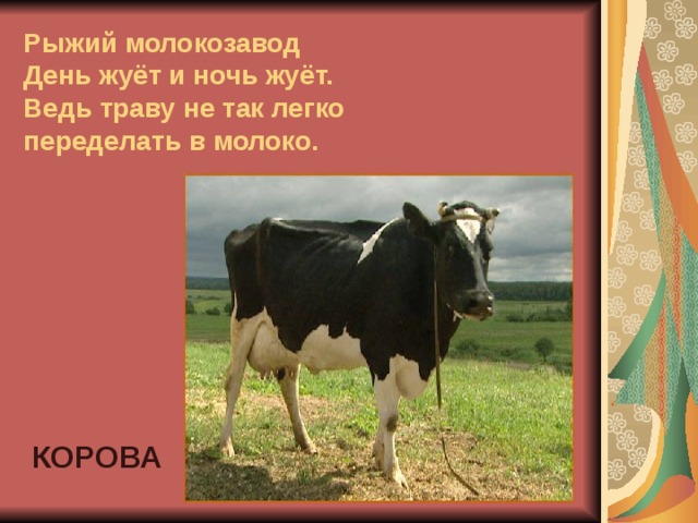 Рыжий молокозавод  День жуёт и ночь жуёт.  Ведь траву не так легко переделать в молоко. КОРОВА 