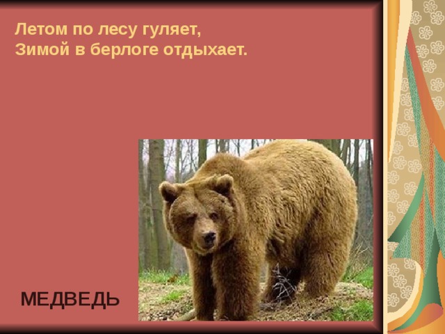 Летом по лесу гуляет,  Зимой в берлоге отдыхает. МЕДВЕДЬ 