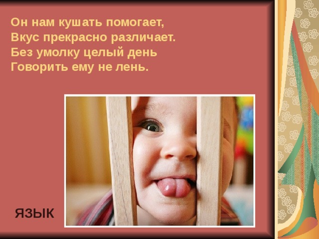 Он нам кушать помогает,  Вкус прекрасно различает.  Без умолку целый день  Говорить ему не лень. ЯЗЫК 