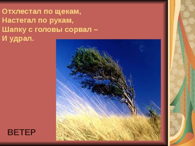Отхлестал по щекам,  Настегал по рукам,  Шапку с головы сорвал –  И удрал. ВЕТЕР 
