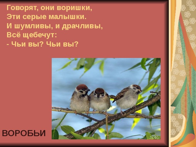 Говорят, они воришки,  Эти серые малышки.  И шумливы, и драчливы,  Всё щебечут:  - Чьи вы? Чьи вы? ВОРОБЬИ 
