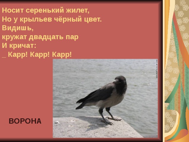 Носит серенький жилет,  Но у крыльев чёрный цвет.  Видишь,  кружат двадцать пар  И кричат:  _ Карр! Карр! Карр! ВОРОНА  