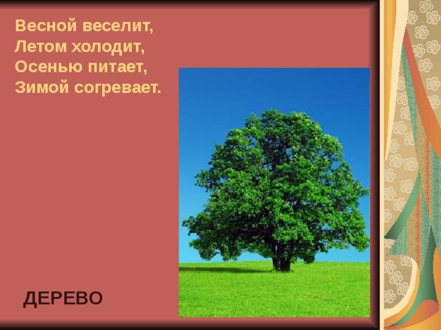 Весной веселит,  Летом холодит,  Осенью питает,  Зимой согревает.   ДЕРЕВО 