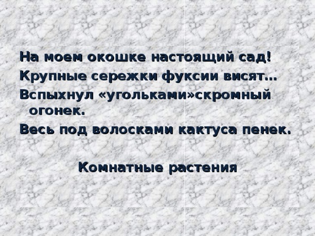 На моем окошке настоящий сад! Крупные сережки фуксии висят… Вспыхнул «угольками»скромный огонек. Весь под волосками кактуса пенек.  Комнатные растения
