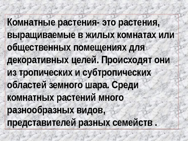 Комнатные растения- это растения, выращиваемые в жилых комнатах или общественных помещениях для декоративных целей. Происходят они из тропических и субтропических областей земного шара. Среди комнатных растений много разнообразных видов, представителей разных семейств .