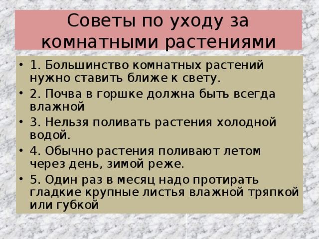 Советы по уходу за комнатными растениями