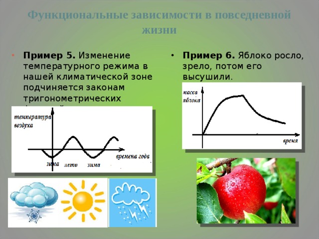 Графики в нашей жизни презентация