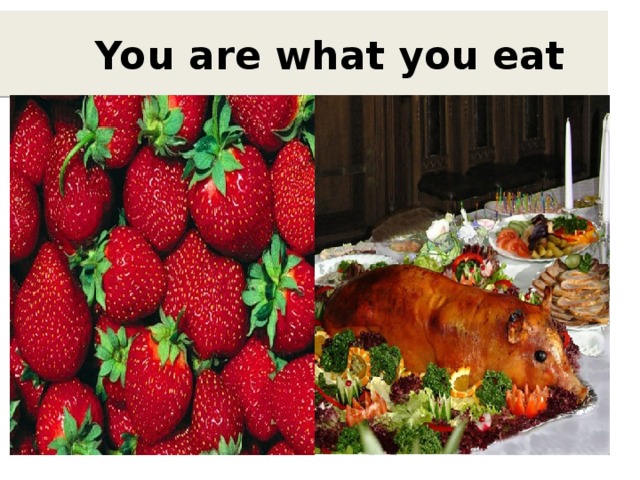  You are what you eat  
