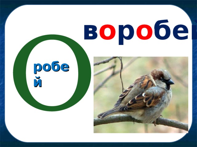 О в о р о бей робей 