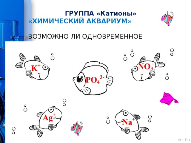 ГРУППА «Катионы» «ХИМИЧЕСКИЙ АКВАРИУМ»    ВОЗМОЖНО ЛИ ОДНОВРЕМЕННОЕ ПРИСУТСТВИЕ В РАСТВОРЕ УКАЗАННЫХ ИОНОВ? 