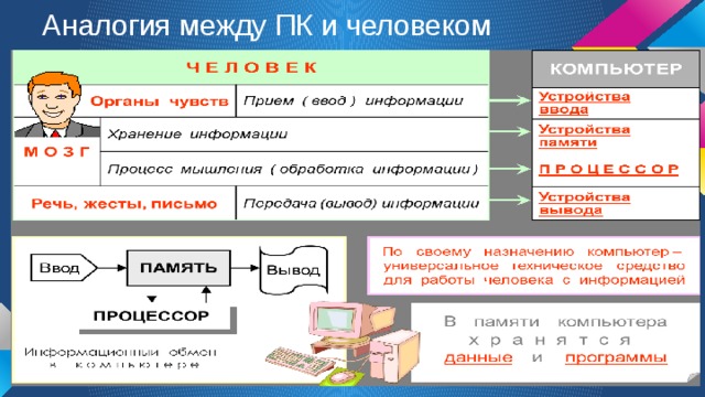 Аналогия между ПК и человеком 