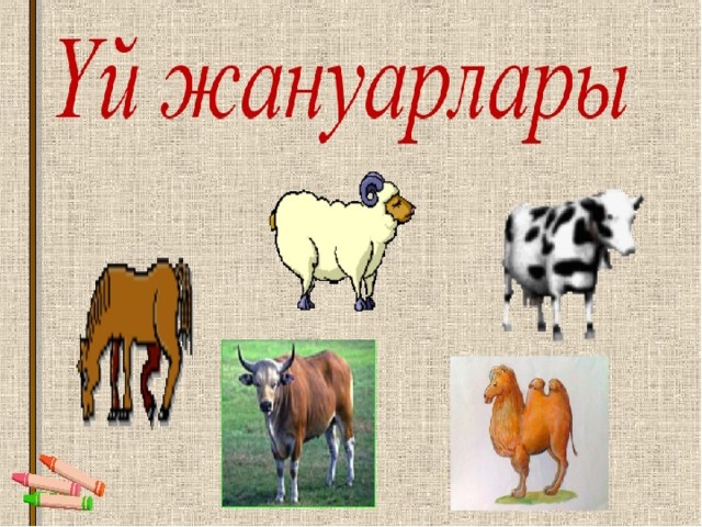 Үй жануарлары тех карта балабақшада