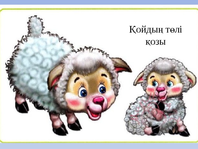 Қойдың төлі қозы 
