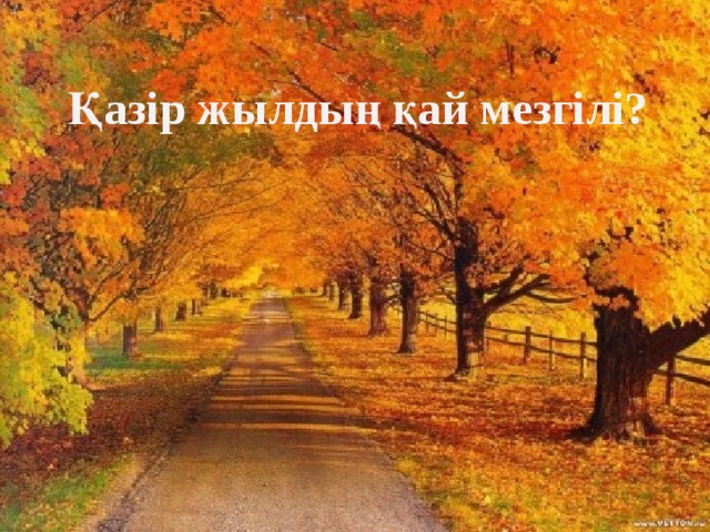 Қазір жылдың қай мезгілі? 