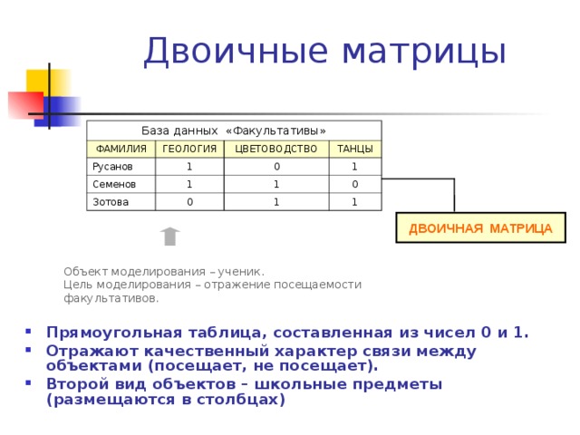 Объект посещения. Факультативы база данных. Двоичная матрица. Матрица базы данных. Матричная БД.