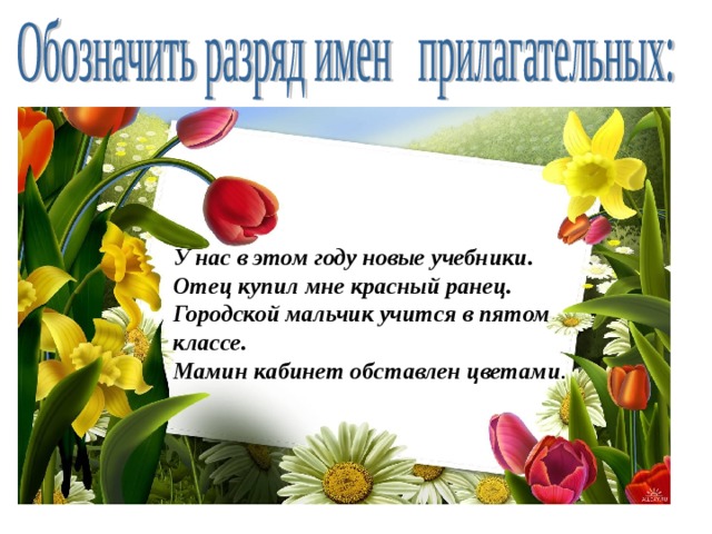 У нас в этом году новые учебники. Отец купил мне красный ранец. Городской мальчик учится в пятом классе. Мамин кабинет обставлен цветами . 