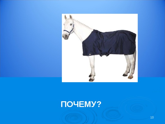 ПОЧЕМУ? 10 