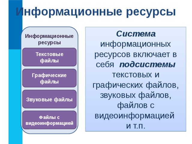 Информационные ресурсы Система информационных ресурсов включает в себя подсистемы текстовых и графических файлов, звуковых файлов, файлов с видеоинформацией  и т.п. Информационные ресурсы Текстовые файлы Графические файлы Звуковые файлы Файлы с видеоинформацией 