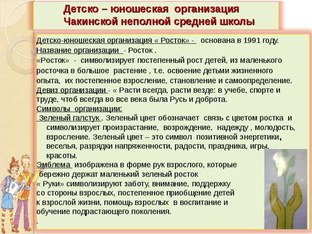 Организация расту. Детско юношеская организация в школе. Положение детско юношеской организации в начальной школе Сейтек.