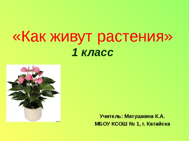  «Как живут растения»  1 класс Учитель: Матушкина К.А. МБОУ КСОШ № 1, г. Катайска 