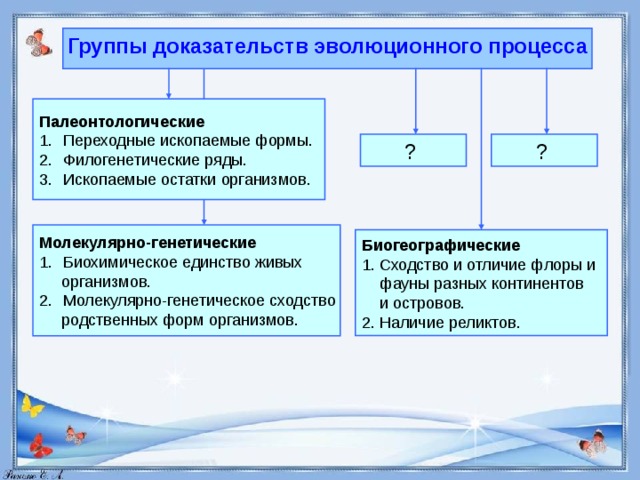 Схема доказательства эволюции 9 класс