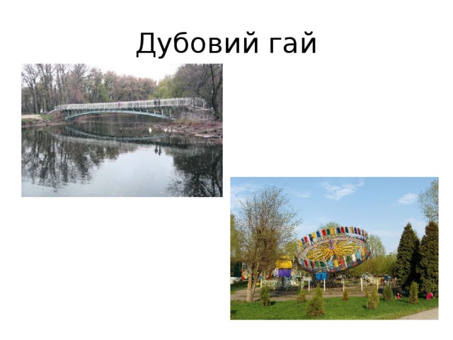 Дубовий гай 