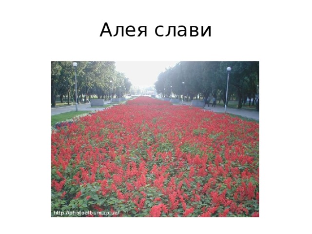 Алея слави 