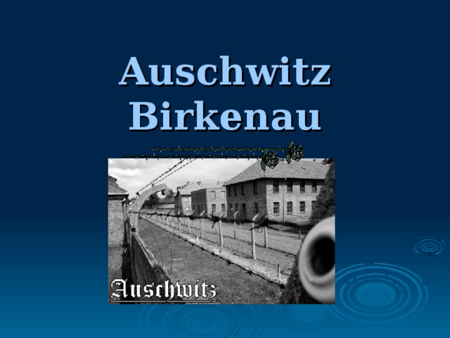 Auschwitz Birkenau 