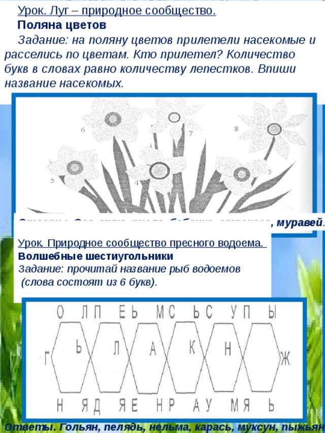 Урок. Луг – природное сообщество. Поляна цветов Задание: на поляну цветов прилетели насекомые и расселись по цветам. Кто прилетел? Количество букв в словах равно количеству лепестков. Впиши название насекомых. Ответы. Оса, муха, пчела, бабочка, стрекоза, муравей .  Урок. Природное сообщество пресного водоема. Волшебные шестиугольники Задание: прочитай название рыб водоемов  (слова состоят из 6 букв). Ответы. Гольян, пелядь, нельма, карась, муксун, пыжьян . 