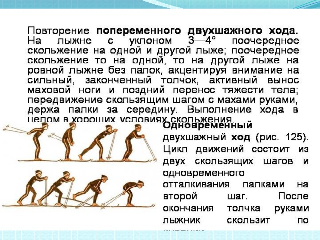 Попеременный двухшажный ход. Основная фаза попеременного двухшажного лыжного хода:. Попеременный двухшажный ход ошибки. Техника выполнения попеременного двухшажного хода. Попеременный двухшажный ход состоит.