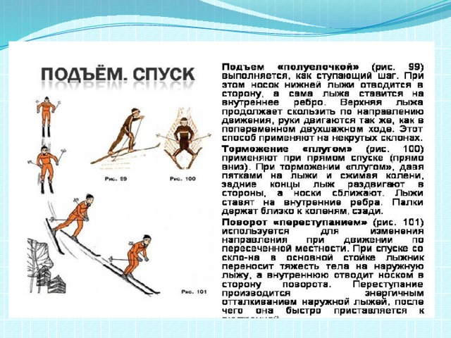 Проект по физкультуре на тему лыжная подготовка