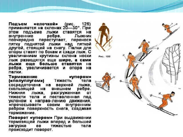 Виды подъема. Подъём ёлочкой применяется на склонах крутизной в. Постановка лыж при подъёме ёлочкой. Подъем елочкой это определение. Ставится на лыжах.