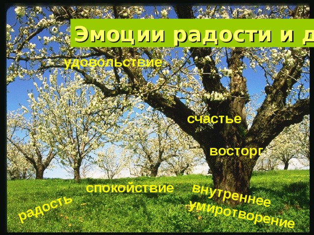 радость внутреннее умиротворение Эмоции радости и добра удовольствие счастье восторг спокойствие 
