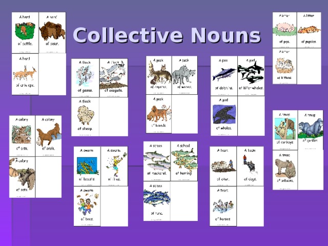 Collective Nouns 