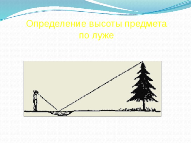 Проект измерительные работы на местности 8 класс