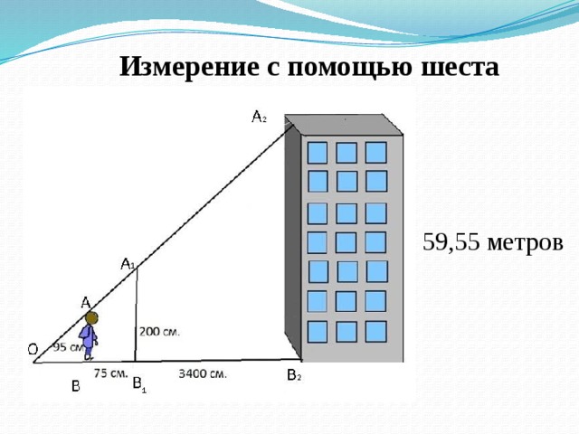 Проект измерительные работы на местности 8 класс