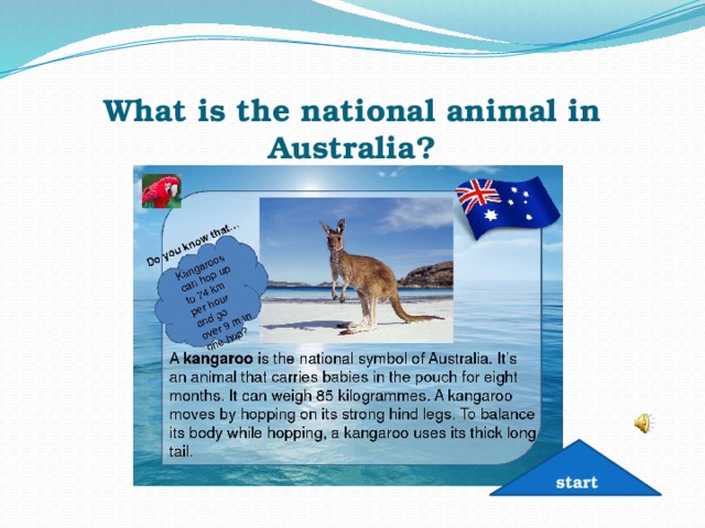What is the national animal in Australia? start 