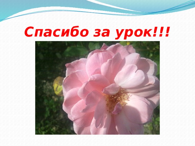 Спасибо за урок!!! 