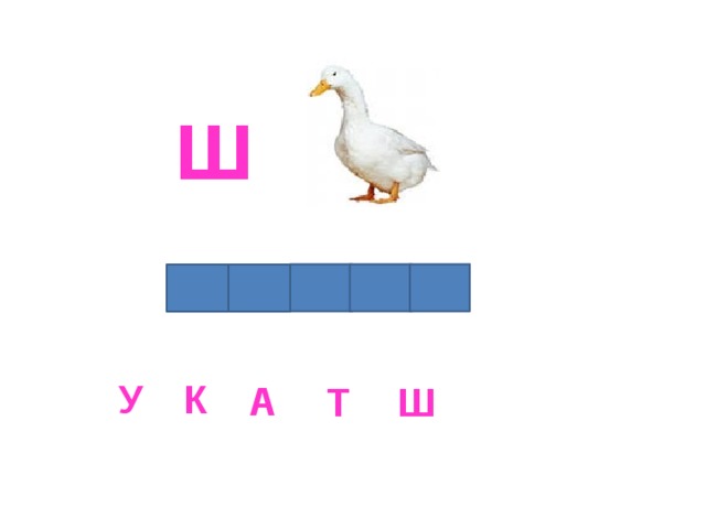 Ш К У А Т Ш 
