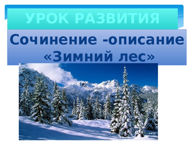 Презентация к уроку русского языка в 3 классе по теме " Сочинение- описание  "Зимний лес"