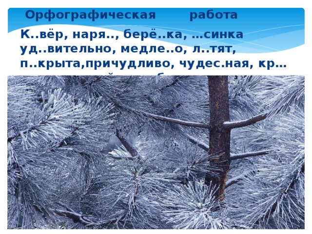 Орфографическая работа К..вёр, наря. берё..ка, …синка уд..вительно, медле..о, л..тят, п..крыта,причудливо, чудес.ная, кр…савица, ин…й,с…р..бристым, искрит…ся, 