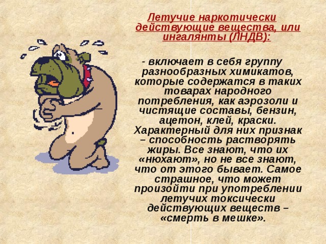 Летучие наркотически действующие вещества, или ингалянты (ЛНДВ):   - включает в себя группу разнообразных химикатов, которые содержатся в таких товарах народного потребления, как аэрозоли и чистящие составы, бензин, ацетон, клей, краски. Характерный для них признак – способность растворять жиры. Все знают, что их «нюхают», но не все знают, что от этого бывает. Самое страшное, что может произойти при употреблении летучих токсически действующих веществ – «смерть в мешке».    