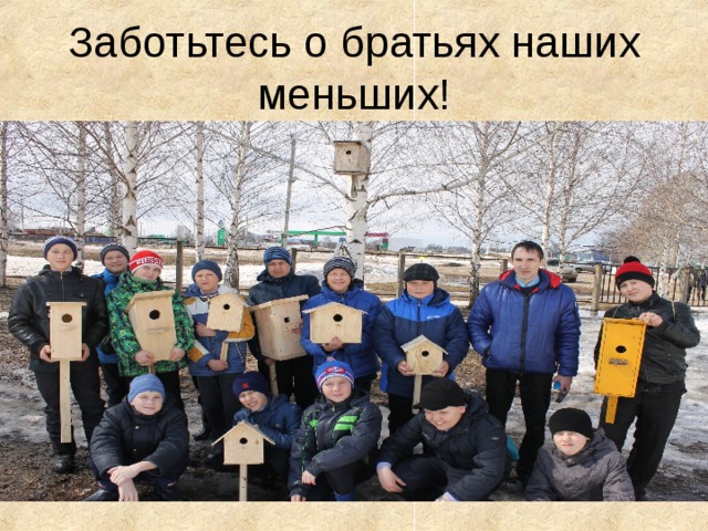 Заботьтесь о братьях наших меньших! 