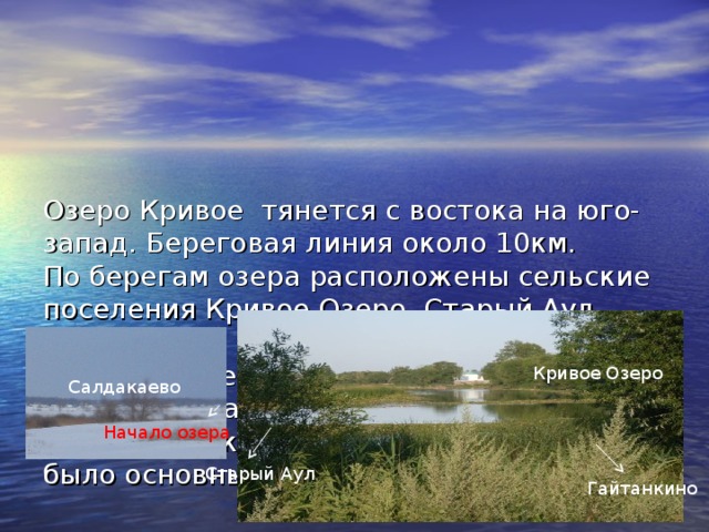 Погода кривые озера. Озеро Кривое Новосибирск. Озеро верхнее Кривое. Озеро нижнее Кривое. Озеро верхнее Кривое Тюмень.