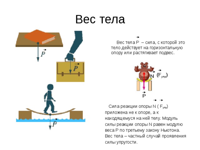 Вес тела  Вес тела P – сила, с которой  это тело действует на горизонтальную опору или растягивает подвес.  Сила реакции опоры N ( F упр )  приложена не к опоре, а к  находящемуся на ней телу. Модуль  силы реакции опоры N равен модулю  веса P по третьему закону Ньютона.  Вес тела – частный случай проявления  силы упругости. ( F упр ) N P