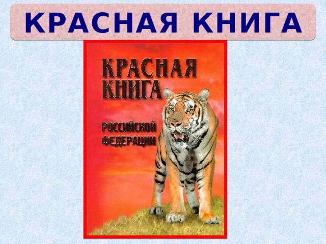 КРАСНАЯ КНИГА 