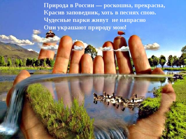 Природа в России — роскошна, прекрасна,  Красив заповедник, хоть в песнях спою.  Чудесные парки живут не напрасно  Они украшают природу мою! 