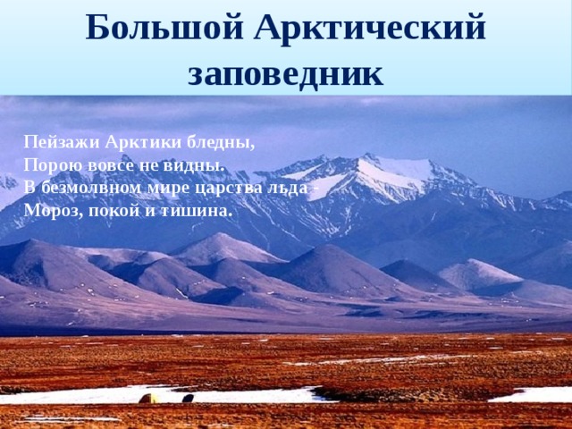 Большой Арктический заповедник Пейзажи Арктики бледны,   Порою вовсе не видны.   В безмолвном мире царства льда -   Мороз, покой и тишина. 